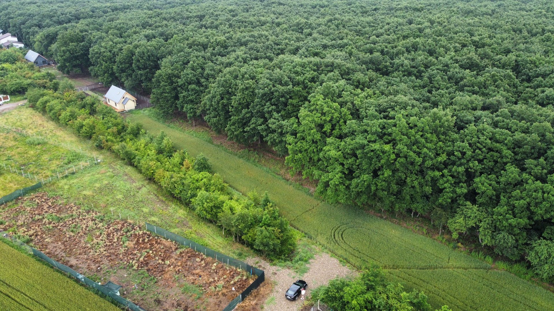 Teren superb Moara Vlasiei - langa padure (COMISION ZERO) - Poză 1