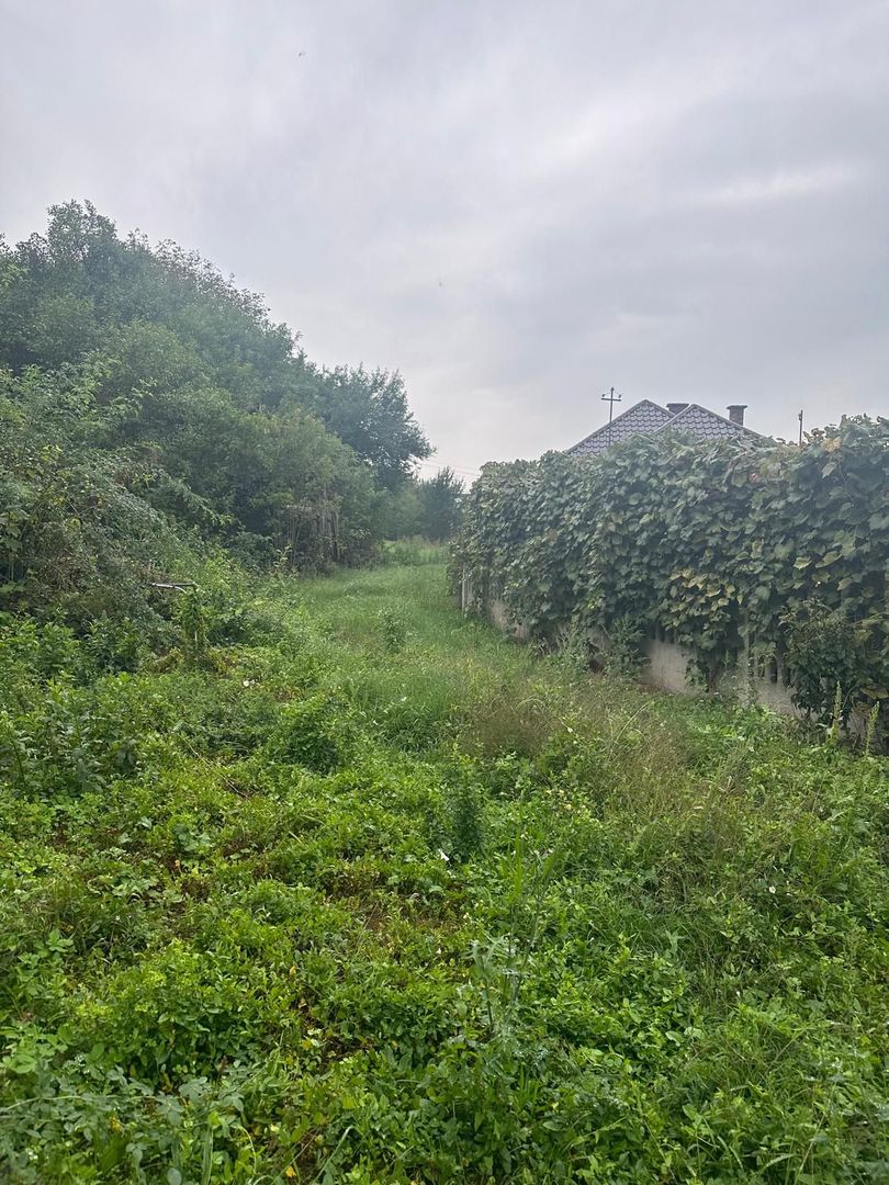 De vanzare teren 2100 mp Dej central - Poză 3