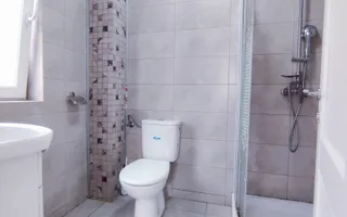 CASA SACALAZ 170 MP CU 640 MP TEREN - Poză 17
