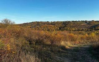 Teren intravilan lacul Hanul Pescarilor - Poză 5