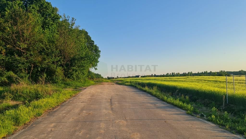 Teren | Poiana Ciolpani | Iris Orangerie - Poză 6