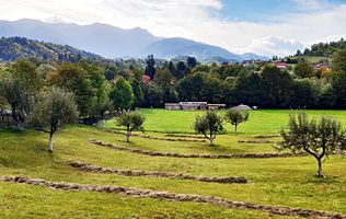 Teren superb de 16240mp, parcelabil, in Bran la intrare in Moeciu de Jos