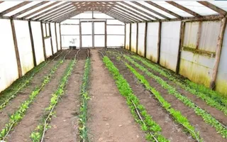 Vanzare ferma agricola Negru Voda - Constanta cu 240 hectare teren si utilaje - Poză 22