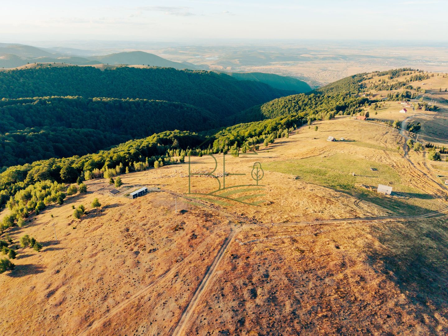 Păltiniș - Teren cu perspectivă panoramică pentru un refugiu în natură - Poză 2