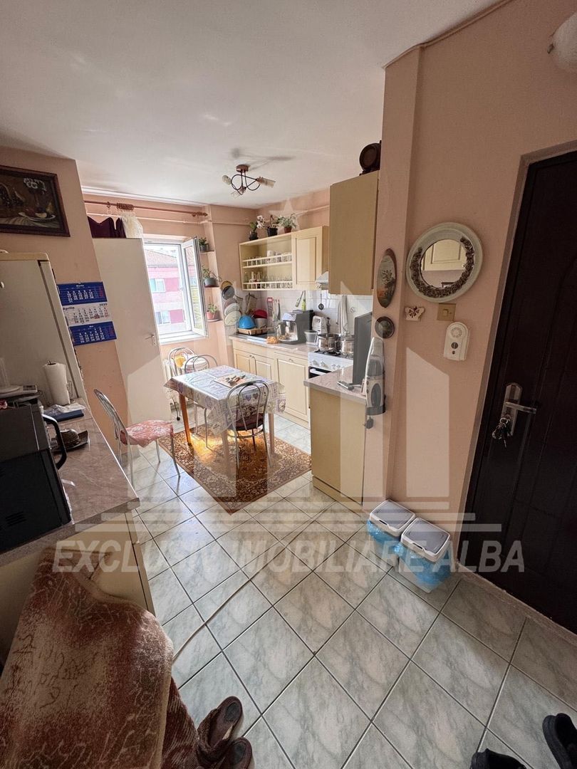 Apartament cu 2 camere de vanzare, Cetate - Poză 2