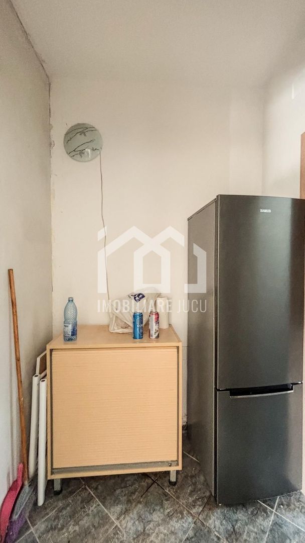 Casa individuala cu 12 camere, Potential Turistic, Visea, Comuna Jucu - Poză 25