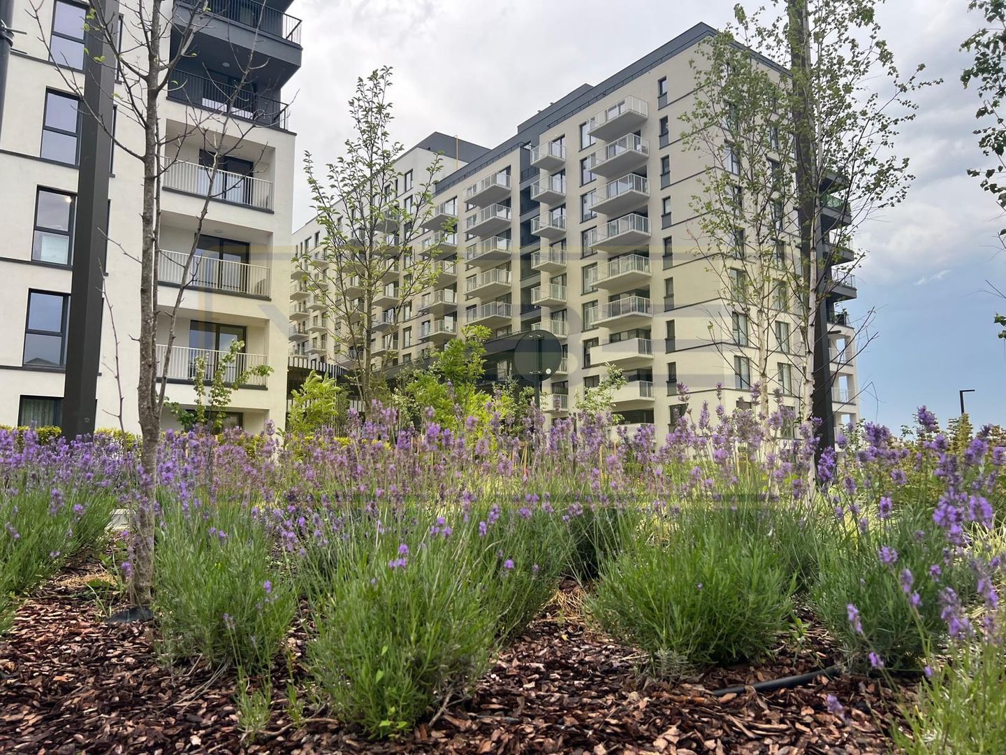 Apartament 2 camere cu parcare Silk District - Poză 33