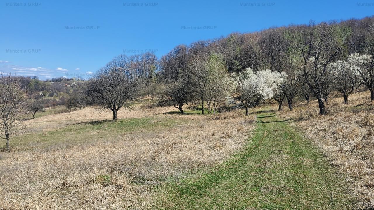 Ocazie ! OCNELE MARI - Sorat, 17,83 Ha. cu pozitie exceptionala - Poză 5