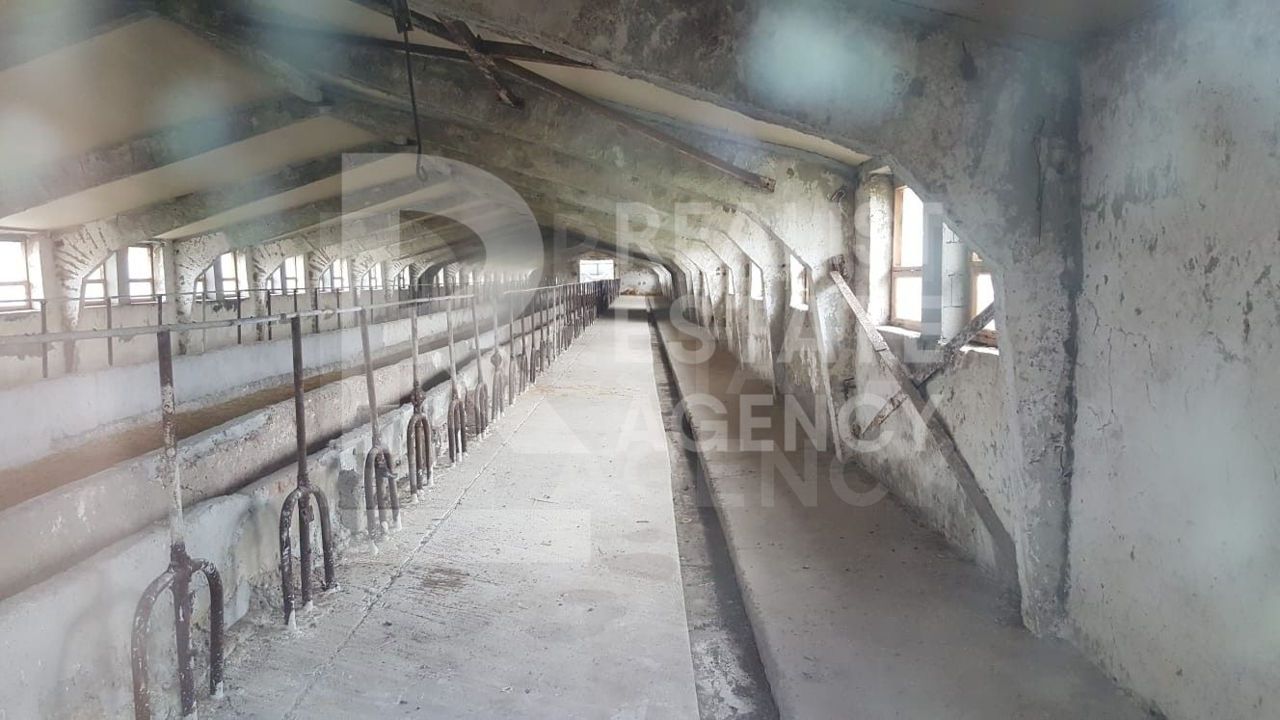 Vânzare fermă, 10,48 ha, comuna Petreni, Drochia - Poză 6