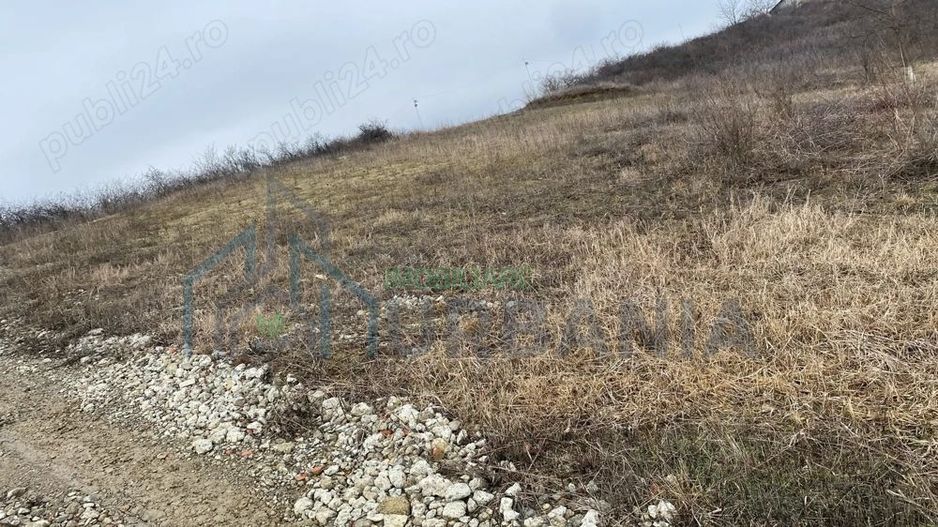 Vând teren extravilan (2026 intravilan) 2500 mp parcelabil zona hlincea lunca cetatuii - Poză 8