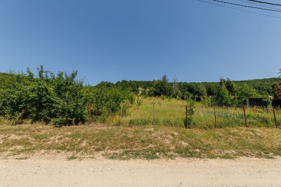 Teren intravilan Ștefănești Valea Mare Podgoria - Poză 4