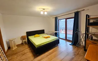 Casa D+P+1E, 6 camere, 1024 mp teren, Barabant - Poză 12