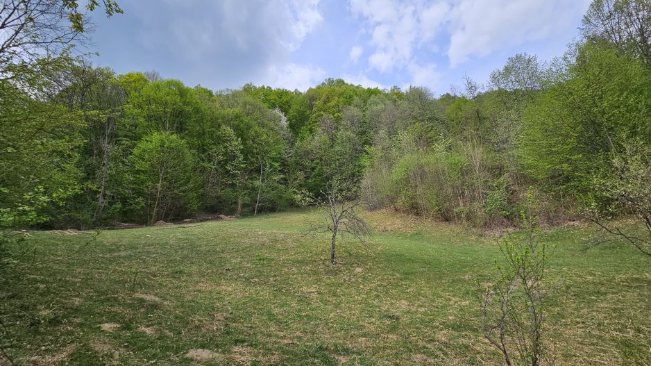 Teren intravilan 1454 mp la marginea padurii zona locuita de case! - Poză 4