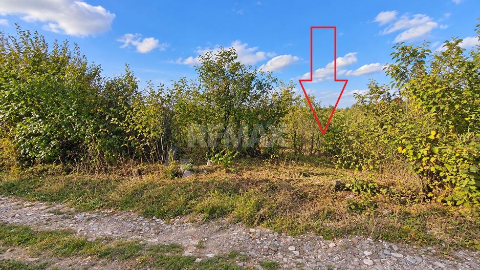 LOT POMICOL DE VÂNZARE – 5,7 ARI | IALOVENI  Î.P. „Floare-Carpet - Poză 6