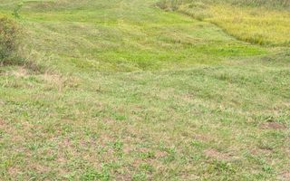 Parcele teren cu Panorama la Lac Colibita-ideal Cabana, Pensiune - Poză 7