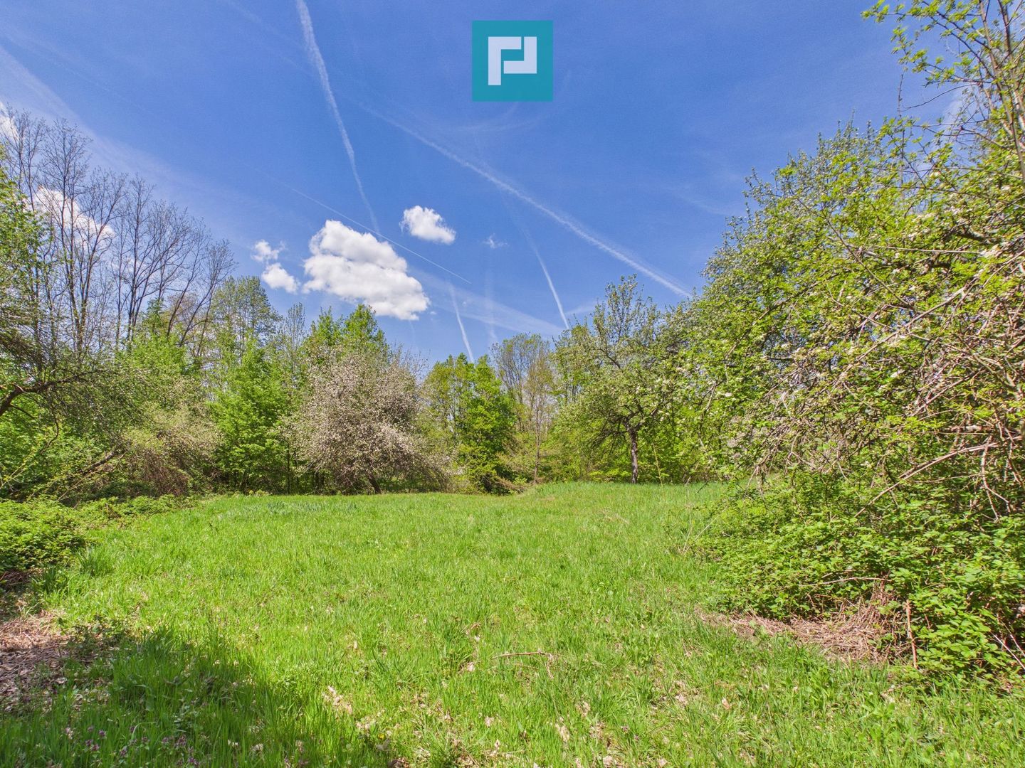 Proprietate rară cu 24.270 mp, în Măgulicea, Arad! - Poză 33