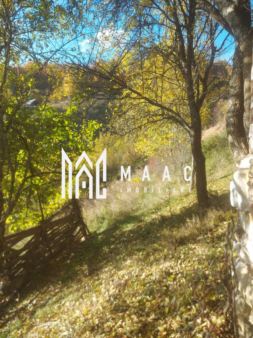 Super ofertă 35000 teren in Muntii Apuseni - Poză 20