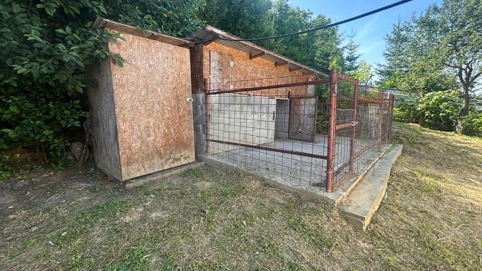 Casă de vânzare – Brătila, județul Bacău - Poză 23