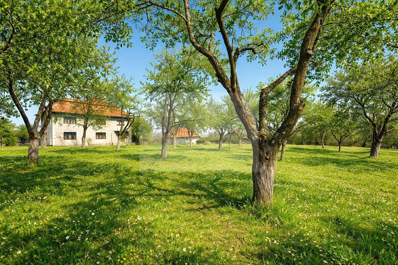 Proprietate cu potențial pensiune – sat Masca, 45 km Cluj - Poză 2