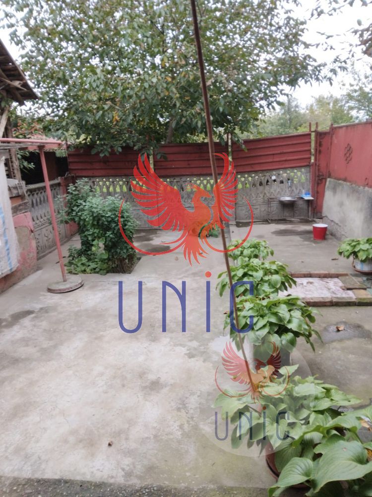 Casa, 24 500 Euro, Maglavit - Poză 16