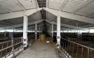 60.000mp Ferma de bovine, păsări, porcine, culturi agricole Diverse - Poză 3