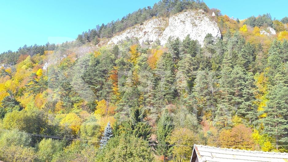 Casă de vânzare în Bran – la 1,5 km de Castelul Bran - Poză 11