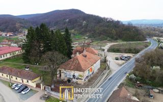 Castel istoric de vânzare în Conop | proprietatea lui Cicio Pop - Poză 4