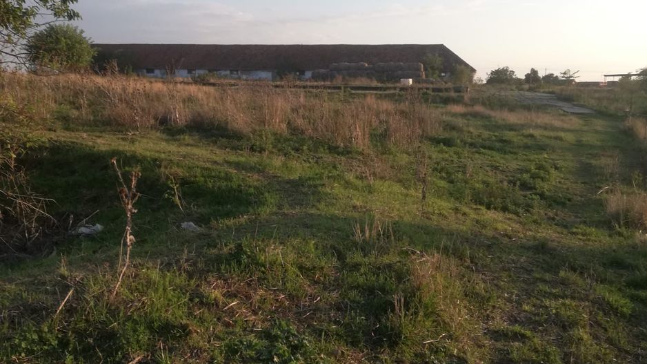 Ferma de vânzare - Poză 6