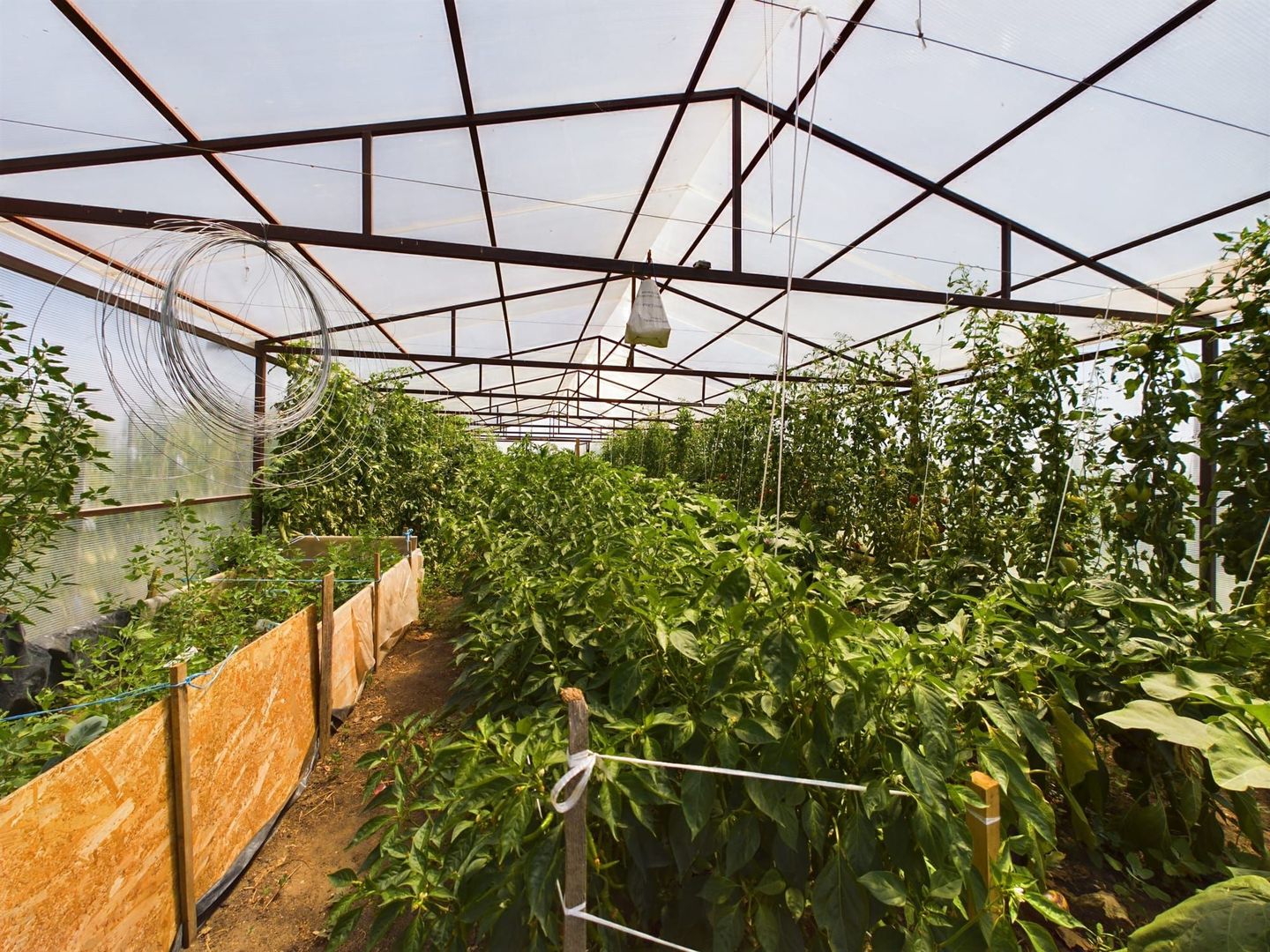 TEREN EXTRAVILAN  CU SOLAR IN GAI - Poză 15