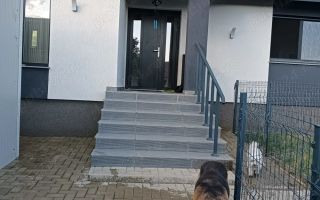 Vand casa Urgent in Tomesti, Iasi - Poză 4