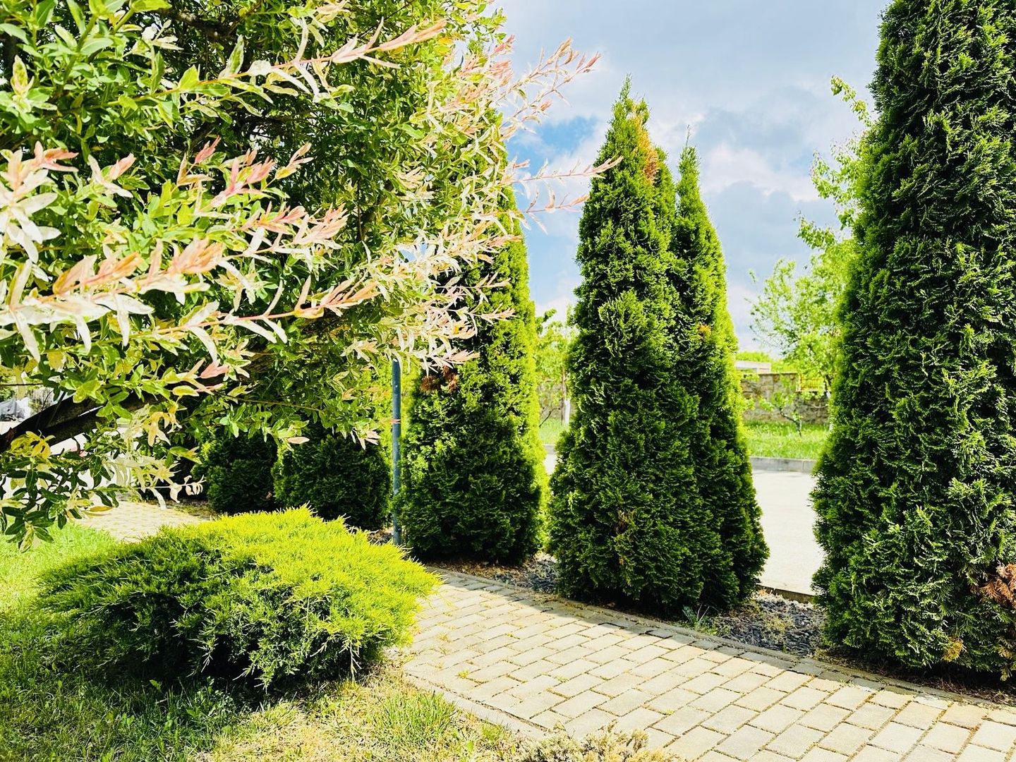 Oferta Inchiriata- Casă cu drum privat | 3 dormitoare | 110 mp | Timișoara - Poză 1