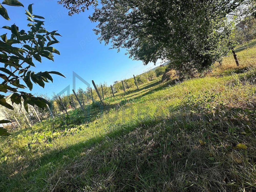 Teren intravilan de vânzare în centrul comunei Bârnova, Iași - Poză 4