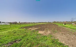 Casă cu grădină mare la 30 km de Timișoara - Poză 25