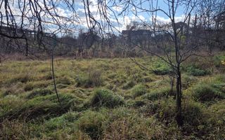 TEREN INTRAVILAN 503 MP – ZONA CASTELUL CORVIN / HOTEL WERK – 16.900 € - Poză 6