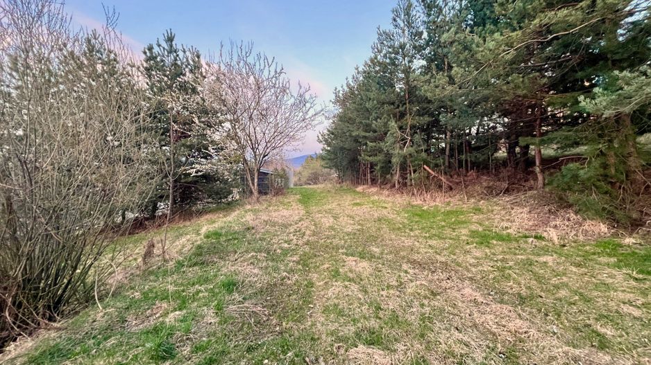 Teren Intravilan 495 mp – Zonă Liniștită - Strada Livezii - Poză 7