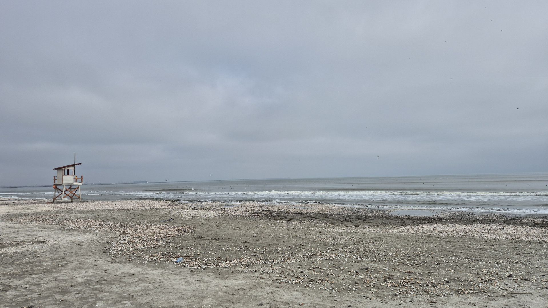 Garsoniera 33,30 mp - la 150 metri de plaja - Mamaia Nord - Poză 11