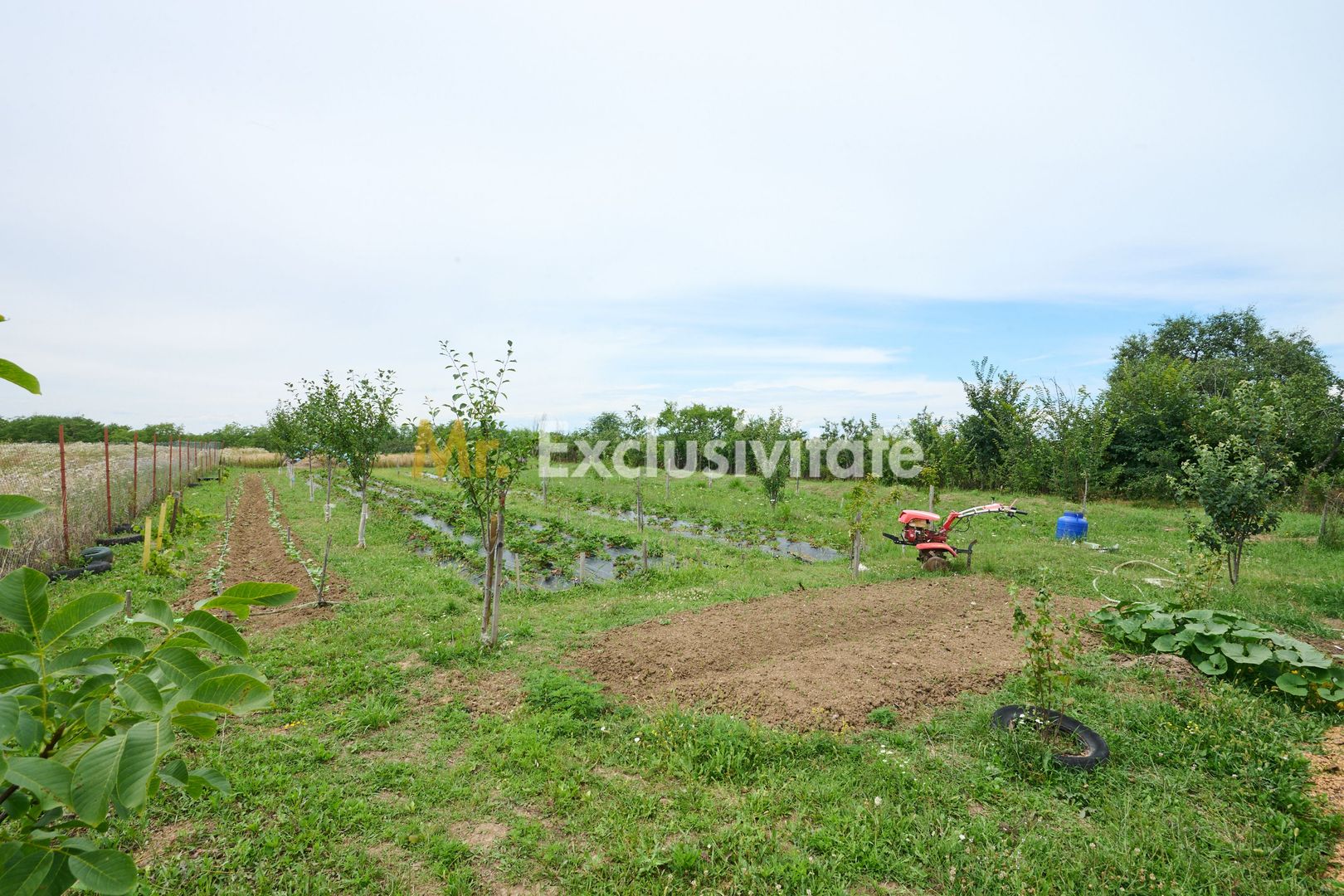 Casă cu teren generos – Vedea-Arges - Poză 31
