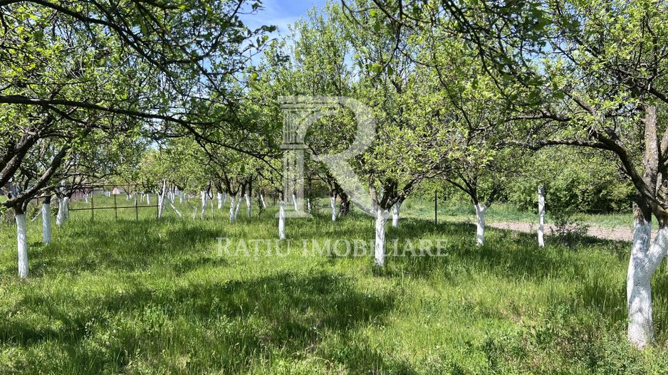 Casă de vacanță + livadă | teren 3000 mp | Chijic | Bihor - Poză 15