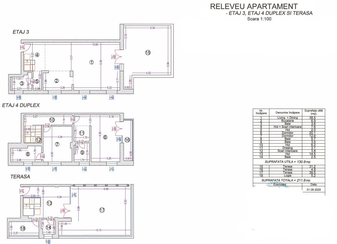 Triplex, cu terase panoramice, Pipera - Iancu Nicolae - Schiță 24