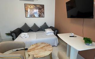 APARTAMENT 2 CAMERE INCHIRIAT  PARCUL CAROL - TINERETULUI - Poză 5