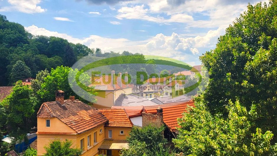 Apartament în casă cu priveliște frumoasă- Comision 0 - Poză 4