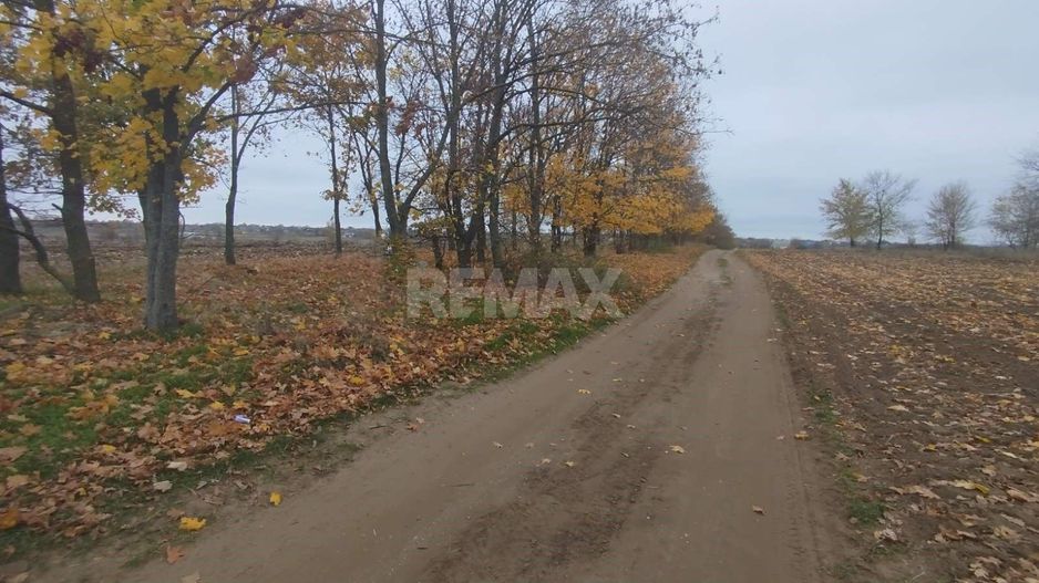 Teren pentru Construcție – 22 Ari | Oportunitate de Investiție | Chetrosu, Anenii Noi - Poză 8