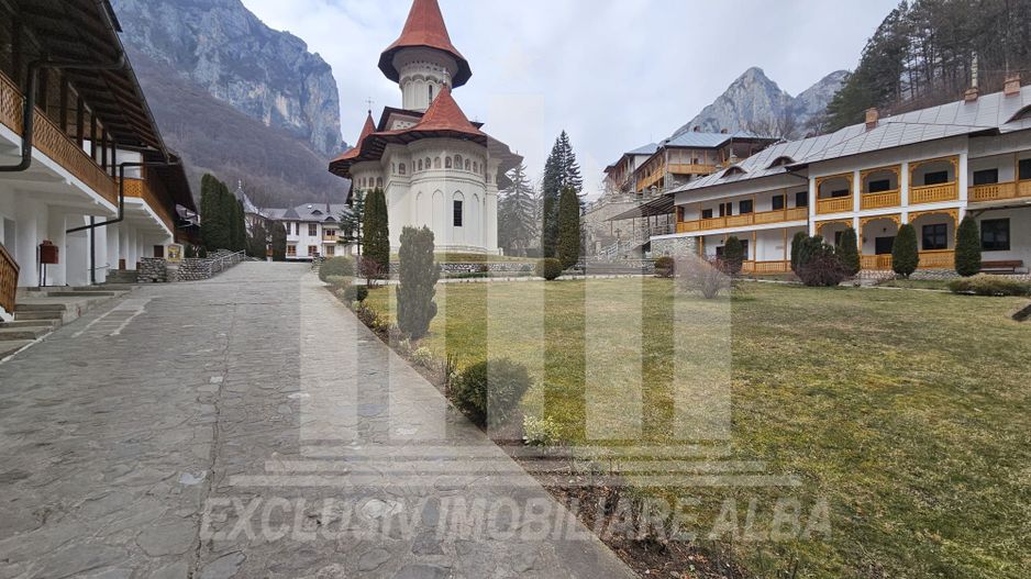 Casa de vacanta cu potential de Pensiune Turistica, Ramet - Poză 16