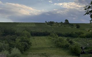 Teren intravilan de 6000 mp in Coarnele Caprei, Valea Babei, cu iesire la strada principala - Poză 1
