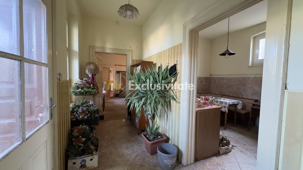 Casă 4 camere cu Teren 2.974 mp | Rezidență sau afacere | Carei - Poză 23