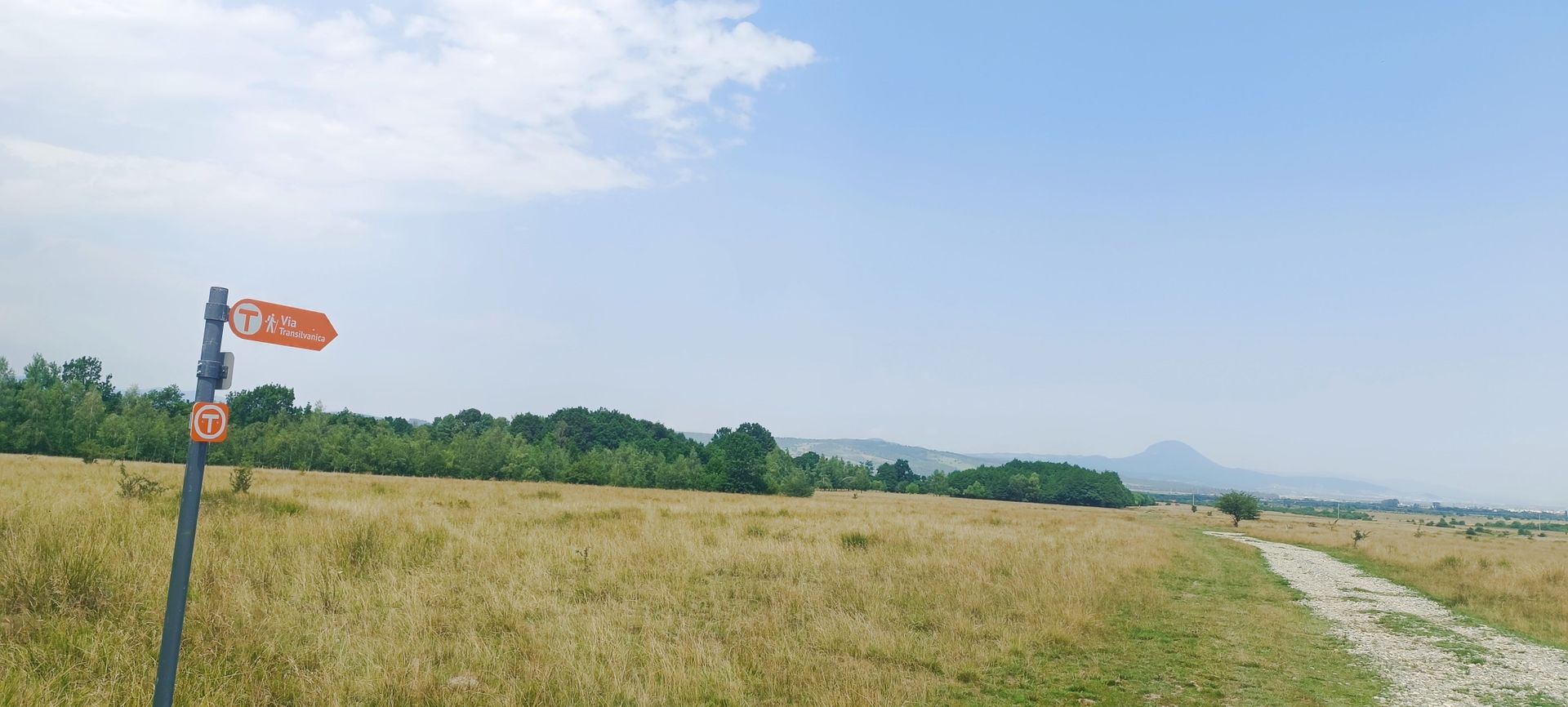 Teren in Rasnov,Glejerie-Via Transilvanica - Poză 11