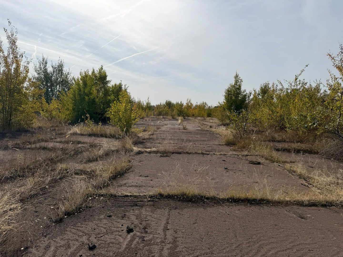 Platformă industrială 37,6 ha, Valea Călugărească cu proiect de racord feroviar - Poză 20