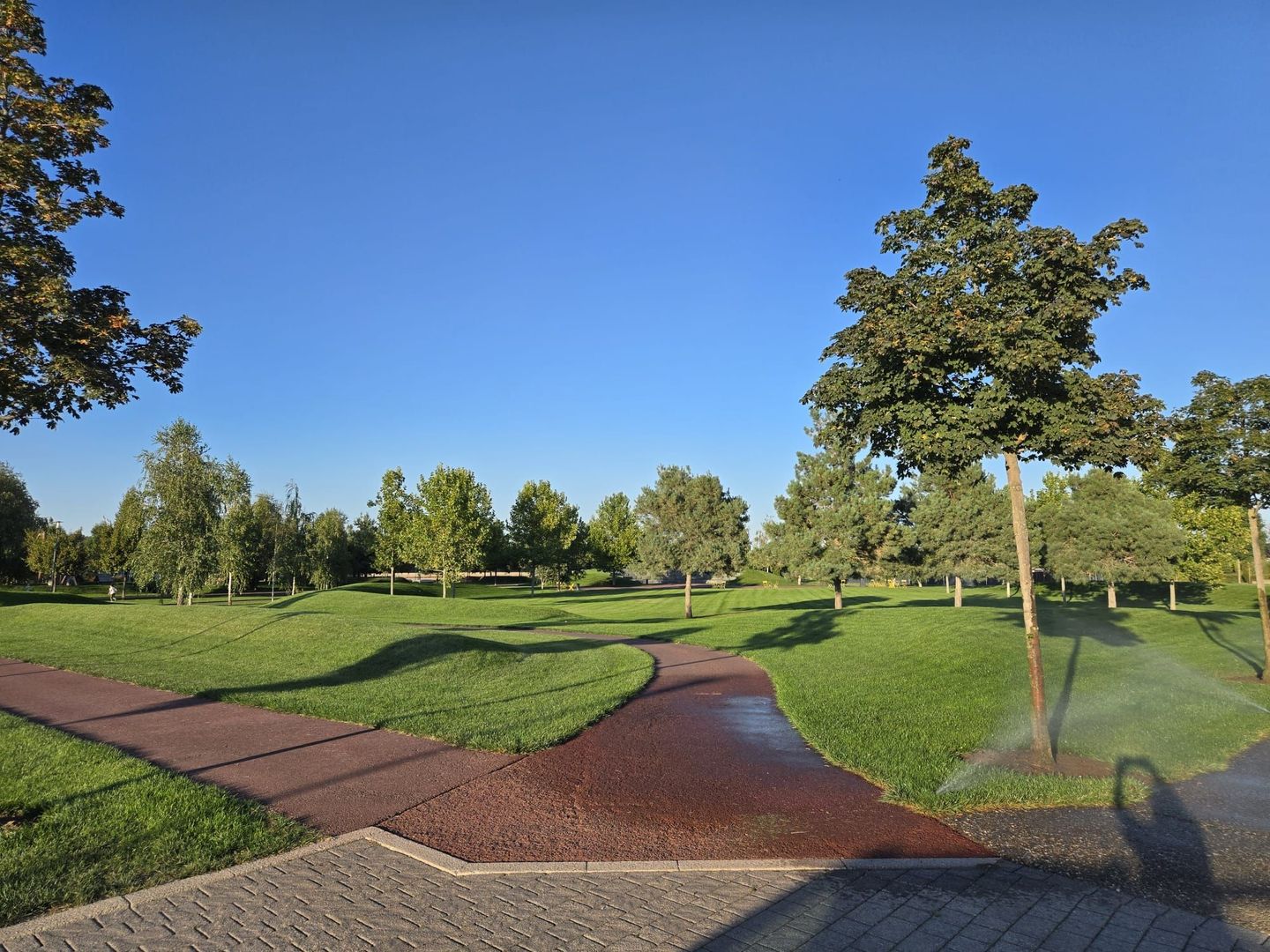 Balotesti,Dumbrava Vlasiei Casa Smart Premium - Poză 2