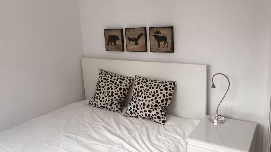 3 camere | Calea Victoriei | GalDan Apartments - Poză 5
