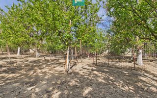 Casă retrasă Pișchia – 4 camere, teren 920 mp - Poză 69